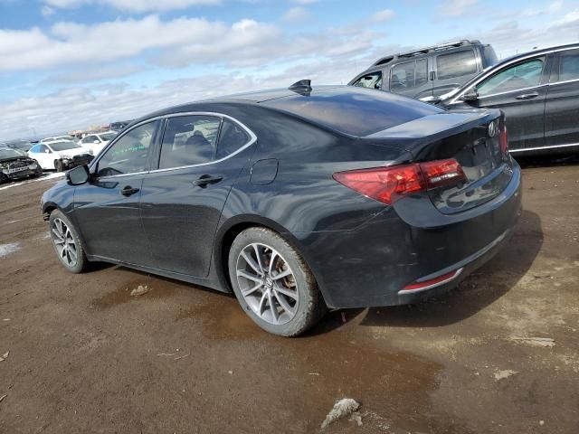 2015 Acura TLX Tech