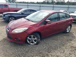 Ford Focus SE salvage cars for sale: 2013 Ford Focus SE