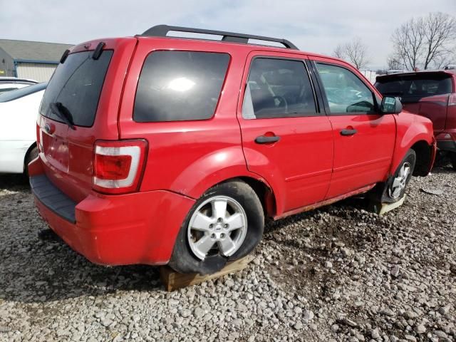 2009 Ford Escape XLT