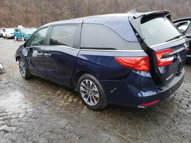 2023 Honda Odyssey EXL