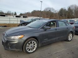 Ford Fusion SE salvage cars for sale: 2019 Ford Fusion SE