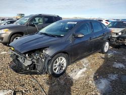 Ford Focus SE salvage cars for sale: 2015 Ford Focus SE