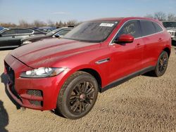 Salvage cars for sale at Elgin, IL auction: 2020 Jaguar F-PACE Prestige