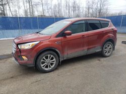 Salvage cars for sale from Copart Atlantic Canada Auction, NB: 2019 Ford Escape SE