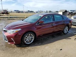 Salvage cars for sale from Copart Woodhaven, MI: 2016 Toyota Avalon Hybrid