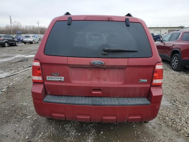 2010 Ford Escape XLT