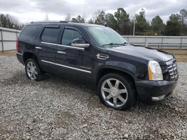 2010 Cadillac Escalade Premium