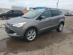 Salvage cars for sale from Copart Phoenix, AZ: 2013 Ford Escape SEL