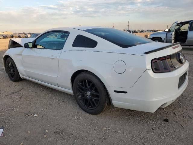 2014 Ford Mustang