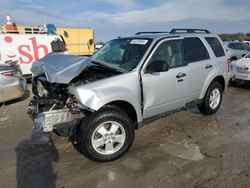 Salvage cars for sale at Cahokia Heights, IL auction: 2012 Ford Escape XLT