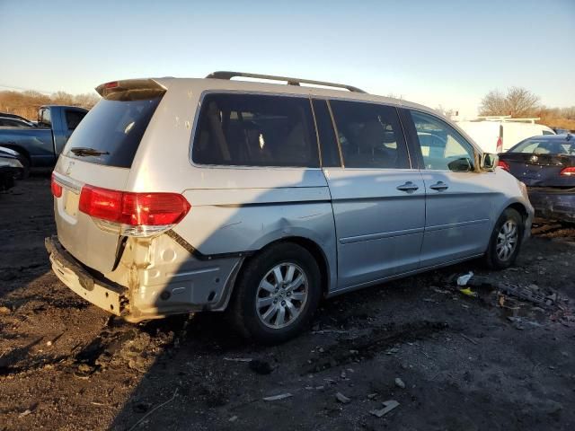 2010 Honda Odyssey EXL