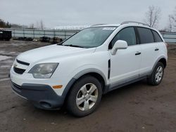 Chevrolet Captiva LS salvage cars for sale: 2015 Chevrolet Captiva LS