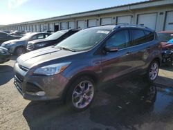 Salvage cars for sale at Louisville, KY auction: 2014 Ford Escape Titanium