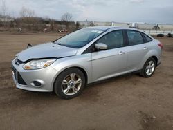 Ford salvage cars for sale: 2013 Ford Focus SE