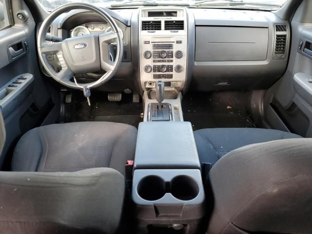 2008 Ford Escape XLT