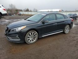 Hyundai Sonata Sport salvage cars for sale: 2017 Hyundai Sonata Sport