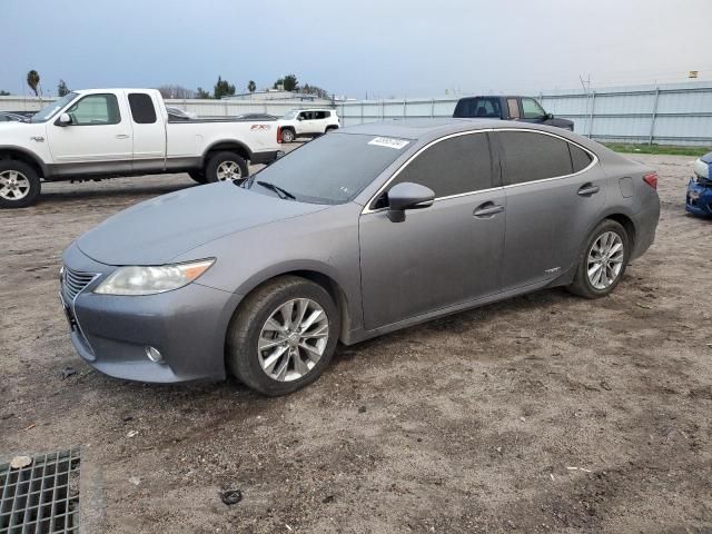 2013 Lexus ES 300H