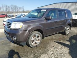 Honda Pilot exl salvage cars for sale: 2013 Honda Pilot EXL