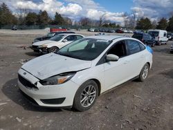 Ford Focus salvage cars for sale: 2016 Ford Focus SE