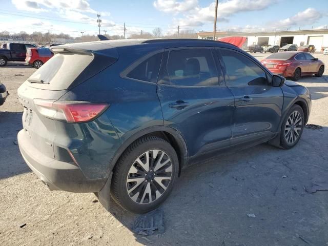 2020 Ford Escape SE Sport