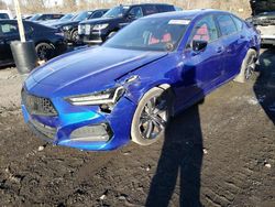 Salvage cars for sale at Marlboro, NY auction: 2023 Acura TLX Tech A
