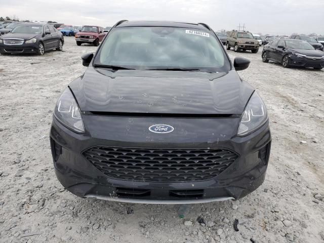 2020 Ford Escape SE Sport