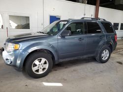 Salvage cars for sale at Blaine, MN auction: 2012 Ford Escape XLT
