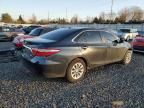 2017 Toyota Camry Hybrid