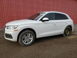 Salvage cars for sale at London, ON auction: 2019 Audi Q5 Premium