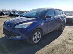 Salvage cars for sale at Cahokia Heights, IL auction: 2013 Ford Escape SE