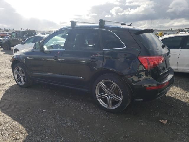 2010 Audi Q5 Prestige