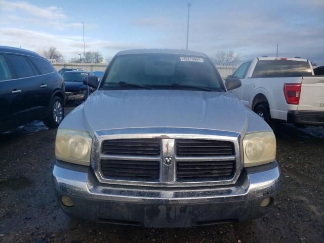 2005 Dodge Dakota SLT