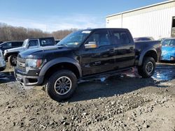 Salvage cars for sale from Copart Windsor, NJ: 2011 Ford F150 SVT Raptor