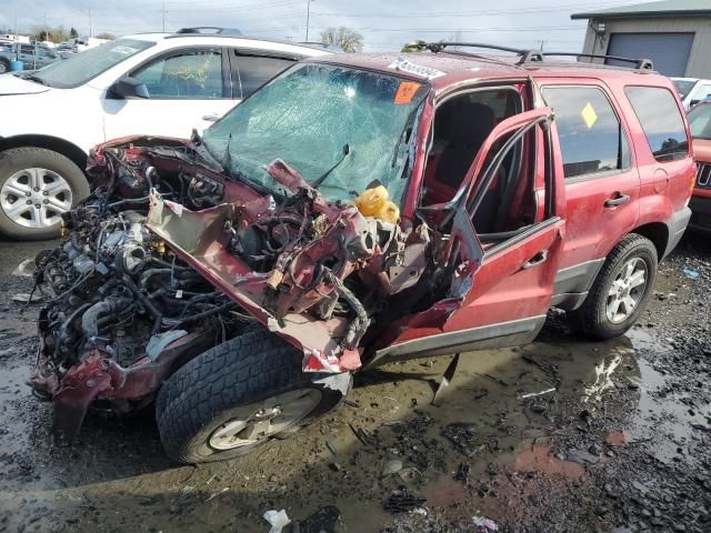 2005 Ford Escape XLT