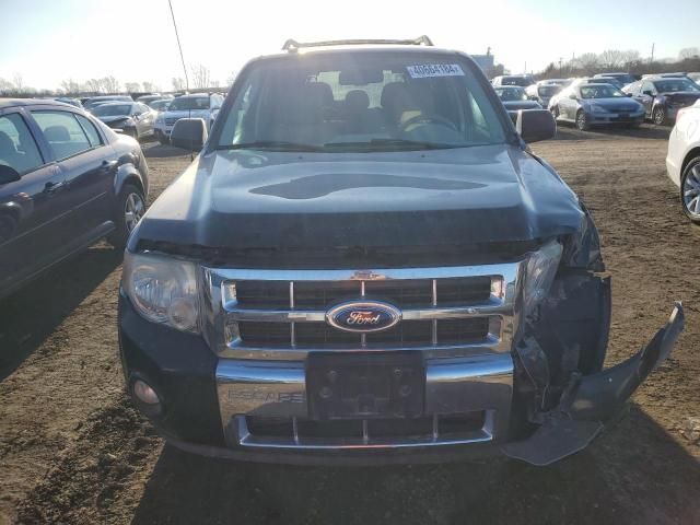 2010 Ford Escape Limited