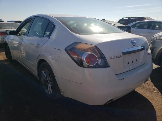 2010 Nissan Altima Base