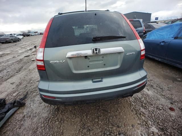 2010 Honda CR-V EXL