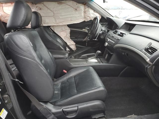 2009 Honda Accord EXL