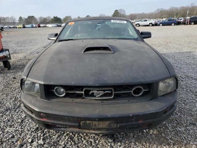 2006 Ford Mustang