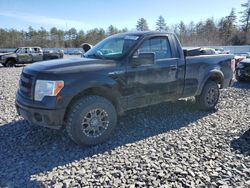 2013 Ford F150 en venta en Windham, ME