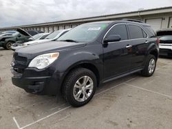 Salvage cars for sale at Louisville, KY auction: 2015 Chevrolet Equinox LT