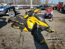 Salvage cars for sale from Copart Davison, MI: 2014 Skidoo MXZ 800