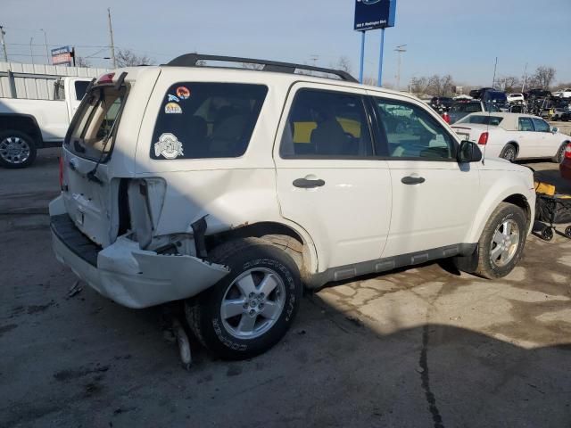 2011 Ford Escape XLT