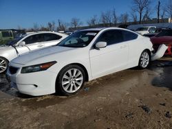 Honda Accord EXL salvage cars for sale: 2010 Honda Accord EXL