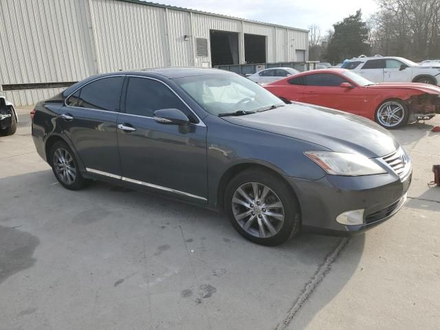 2011 Lexus ES 350