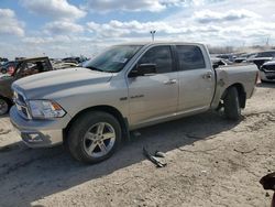 Dodge RAM 1500 salvage cars for sale: 2009 Dodge RAM 1500