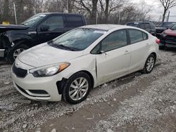 Salvage cars for sale at Cicero, IN auction: 2014 KIA Forte LX