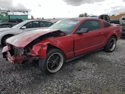 Salvage cars for sale at Mentone, CA auction: 2008 Ford Mustang