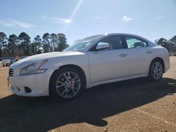 Hail Damaged Cars for sale at auction: 2013 Nissan Maxima S
