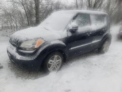 Salvage cars for sale from Copart Cicero, IN: 2011 KIA Soul +